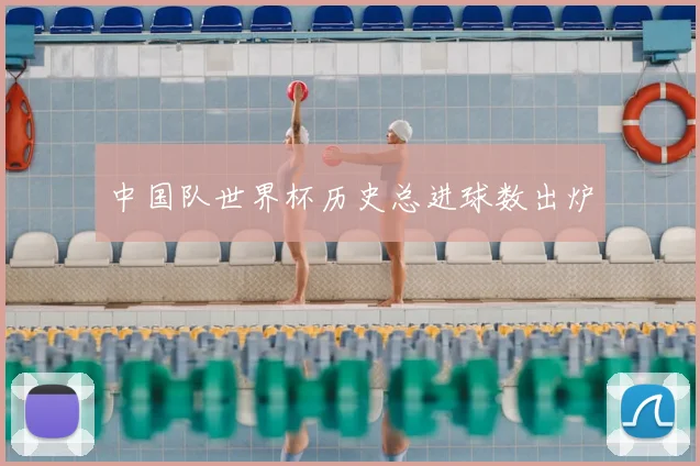 中国队世界杯历史总进球数出炉