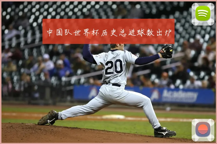 中国队世界杯历史总进球数出炉