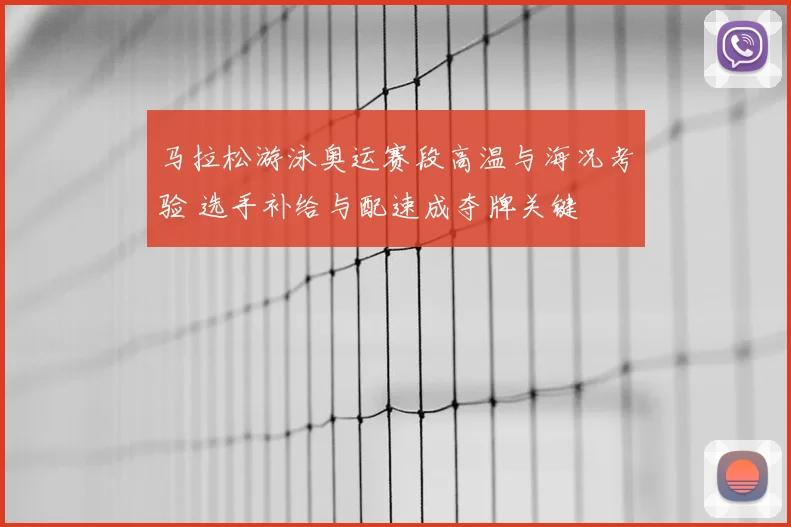 马拉松游泳奥运赛段高温与海况考验 选手补给与配速成夺牌关键